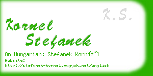 kornel stefanek business card